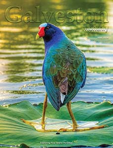 June 2026 cover