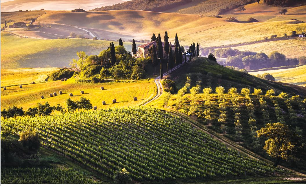 Chianti