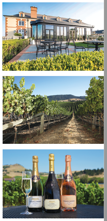 Domaine Carneros