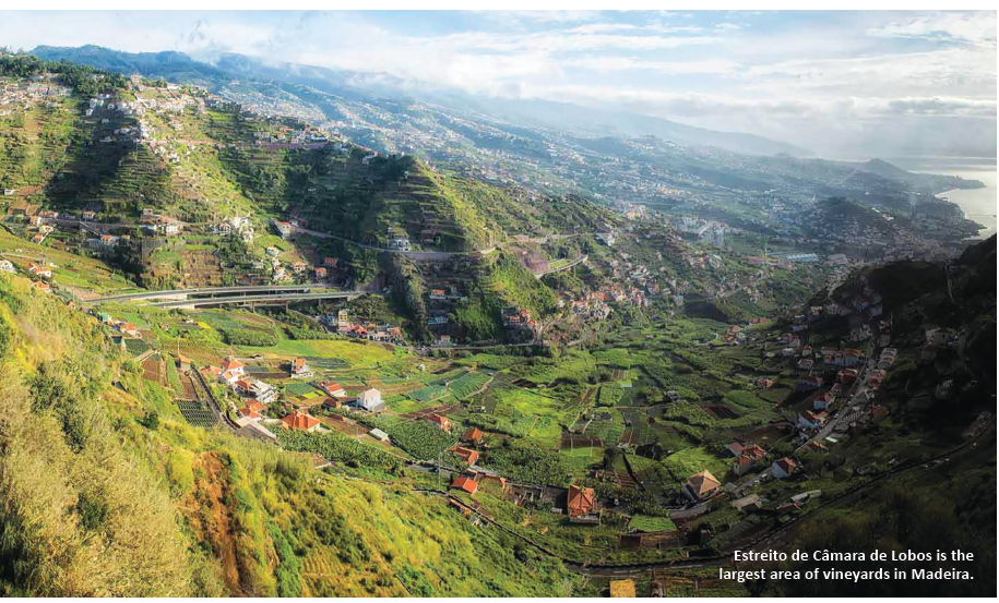 Madeira