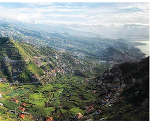Madeira Island