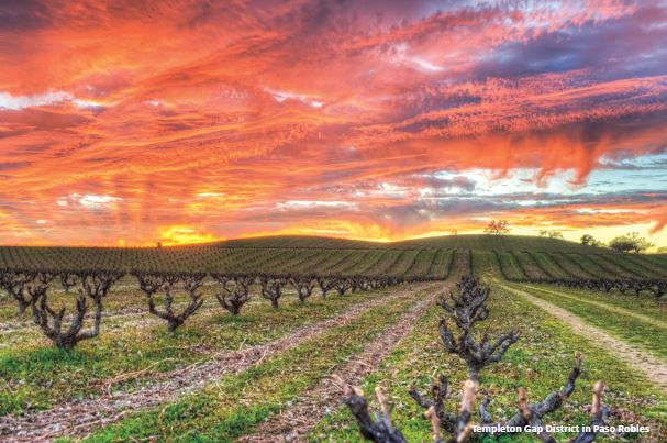 Paso Robles