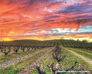 Paso Robles
