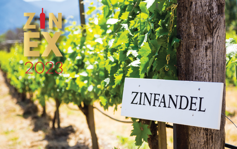 Zinfandel