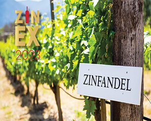 Zinfandel Experience