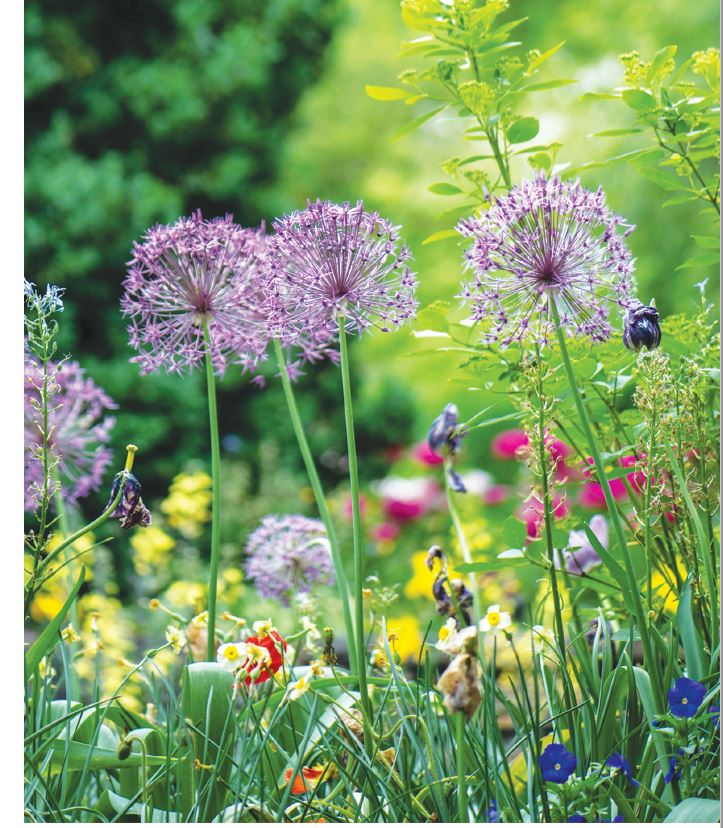 Bee Friendly