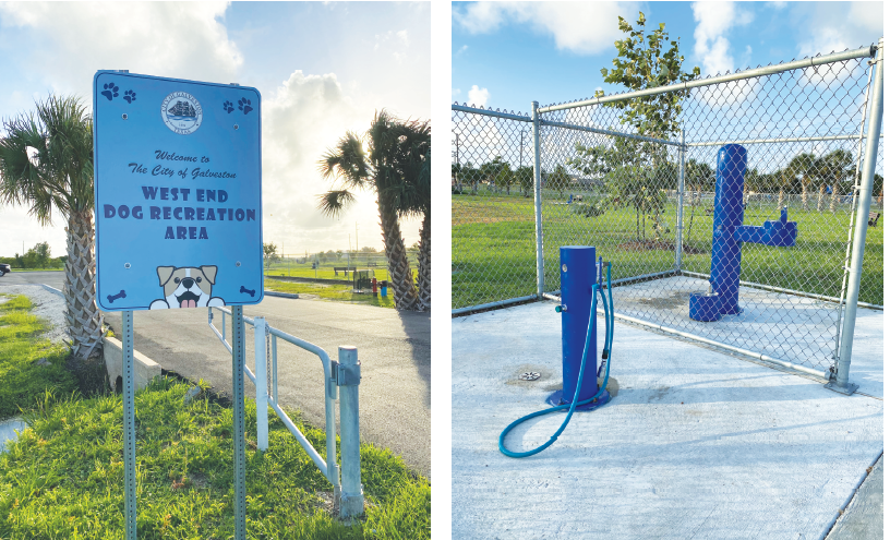 Dog Park