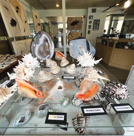 Museum Store