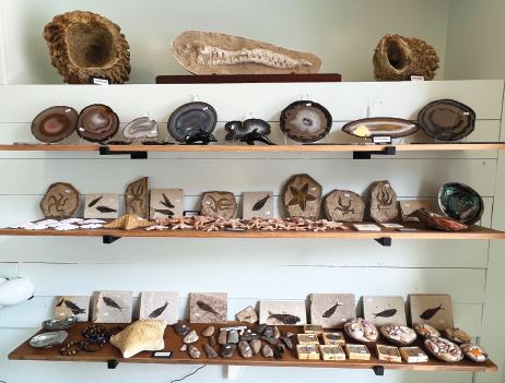 Museum Store